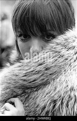 Liza Minnelli , actor and singer, pictured at The Dorchester Hotel in London. Liza, last night, played a show at The Rainbow Theatre in Finsbury Park, North London.  Sunday 13th May 1973. Only last year, 1972, Liza starred in the film Caberet.  Liza is surrounded by photographers as she smiles and comments on her time in London.  Picture taken Monday 14th May 1973 Stock Photo