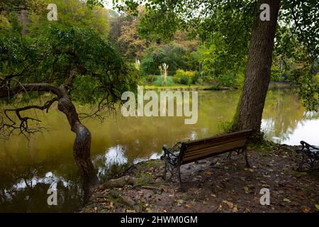 Bench near the lake. A bench near the pond or lake at autumn in the park. Fall background photo. Loneliness concept. Stock Photo