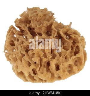 Bath sponge isolated on white background. Clipping path Stock Photo