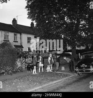 Children in Hartburn, County Durham, playing conkers under a conker tree. 1971. Stock Photo