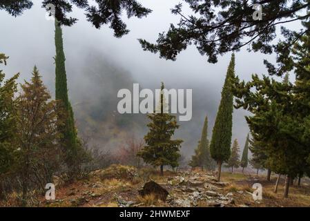 Vereda la Estrella in Sierra Nevada on a foggy day. Stock Photo