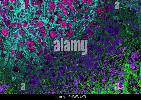Abstract creative marbling pattern for fabric, design background texture abstract Stock Photo