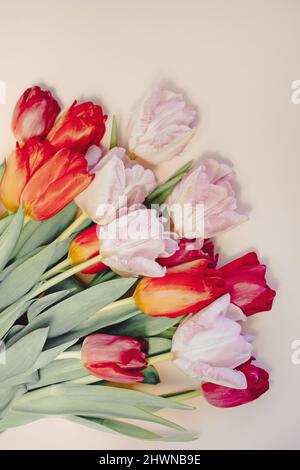 Bunch of flowers, tulips bouquet on pink with copy space, floral flat lay Stock Photo