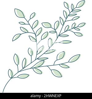 Leaf Line Art With Shapes In Pastel Stock Vector Image & Art - Alamy
