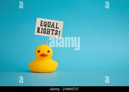 Rubber duck carries a signboard with the message of equal rights. Equality and freedom social movement concept. Stock Photo