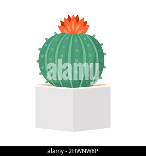 Cactus and succulent in pot domestic colorful cartoon vector illustration Stock Vector
