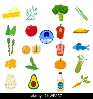 Set of Vitamin A origin natural sources. Healthy diary food, fruits, greens, vegetables, fish. Organic diet products, natural nutrition collection Stock Vector