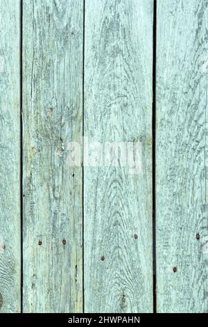 Background with green vertical wooden planks Stock Photo