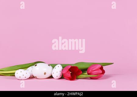 White easter eggs with golden dots and spring flower tulips on pink background with copy space Stock Photo