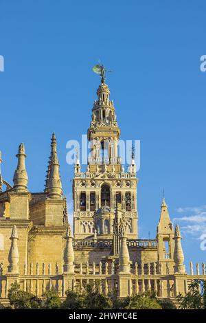 Looking up at the Giralda, seen from Triumph Square in Seville Stock Photo