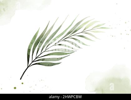 Palm leaf watercolor painting vector isolated on white background. Suitable for Wedding Invitation, save the date, wall decorate, or greeting card. Stock Vector
