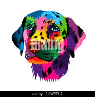 Abstract dalmatian dog head portrait from multicolored paints. Colored drawing. Puppy muzzle portrait, dog muzzle. Vector illustration of paints Stock Vector