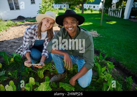 Mixed race male and female farmers working in vegetable patch  Stock Photo