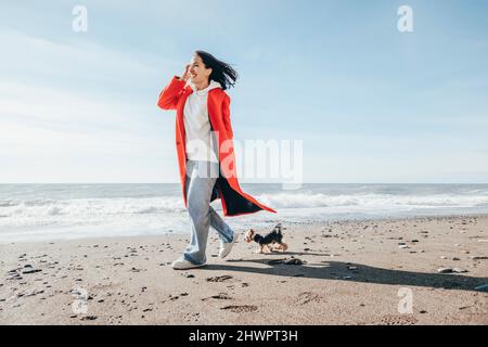 Smiling woman walking with Yorkshire terrier at beach on sunny day Stock Photo