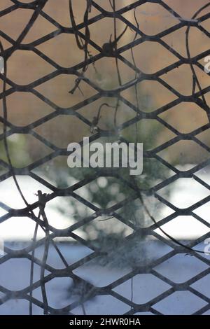 Patterned grid of a metal mesh used as a protective window covering to deter crime. Stock Photo