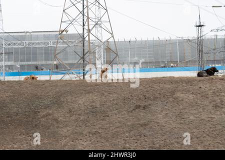RUSSIA, MOSCOW - MAR 05, 2022: power industrial plant view energy, for environment cooling in technology for toxic steam, dust danger. Background Stock Photo
