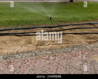 Automatic garden sprinkler watering the lawn. Garden or backyard watering technology. Stock Photo