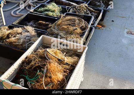 Kiel, Germany. 07th Mar, 2022. Fishing gear recovered in the Baltic Sea lies as so-called ghost nets on the deck of the research vessel MS Haithabu. Together with the Schleswig-Holstein Ministry of the Environment, the WWF Environmental Foundation recovered a lost fish trap in the Baltic Sea off Kiel on 07.03.2022. The nets are a danger for fish and sea birds. They can also become death traps for seals and porpoises if the animals get caught in them. Credit: Frank Molter/dpa/Alamy Live News Stock Photo