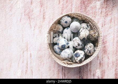 close up of Quails eggs in a box  Stock Photo