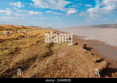 Scenic view of Lake Olbolosat in Nyahururu, Kenya Stock Photo