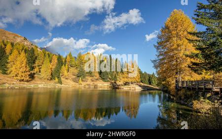 Larch trees in autumn reflected in lago di Pozze, Dolomites, Italian Alps Stock Photo