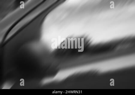 Blurred photo of rural landscape reflected in side window of a car. Black white abstract photo. Stock Photo