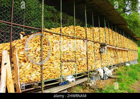 Corn dryer for animal feeding at small farm. Haute-Savoie, France. Stock Photo