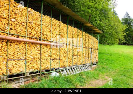 Corn dryer for animal feeding at small farm. Haute-Savoie, France. Stock Photo