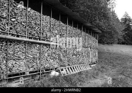 Corn dryer for animal feeding at small farm. Haute-Savoie, France. Black white historic photo. Stock Photo