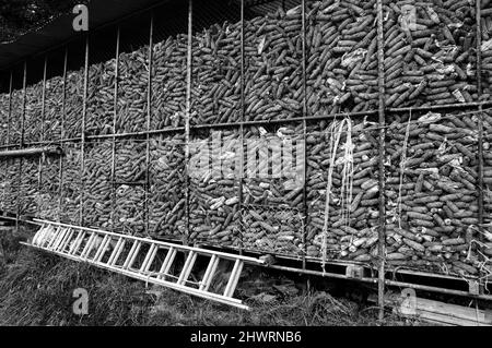 Corn dryer for animal feeding at small farm. Haute-Savoie, France. Black and white. Stock Photo