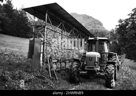 Haute-Savoie, France - August 23, 2015: John Deere 3350 tractor next to corn dryer for animal feeding at small farm. Black white historic photo Stock Photo