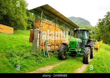 Haute-Savoie, France - August 23, 2015: John Deere 3350 tractor next to corn dryer barn for animal feeding at small farm. Stock Photo