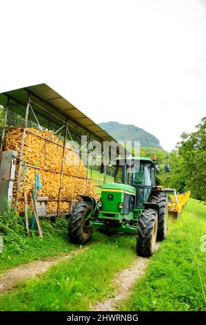 Haute-Savoie, France - August 23, 2015: John Deere 3350 tractor next to corn dryer barn for animal feeding at small farm. Stock Photo