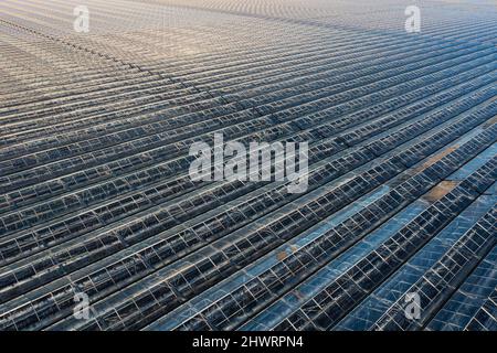 Aerial view of the vast amount of greenhouses used in the food production of salad at Drax in Yorkshire using excess heat from Drax Power Station Stock Photo