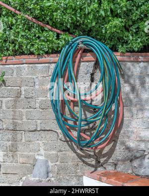 Close-up of a green and red gardening hose hanging up on a wall. Stock Photo