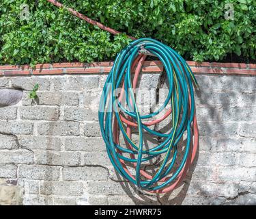 Close-up of a green and red gardening hose hanging up on a wall. Stock Photo