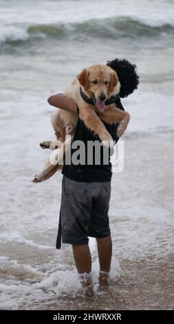 golden retriever dog who is scared of the beach waves being picked up by his person and taken to the beach on a cloudy evening Stock Photo