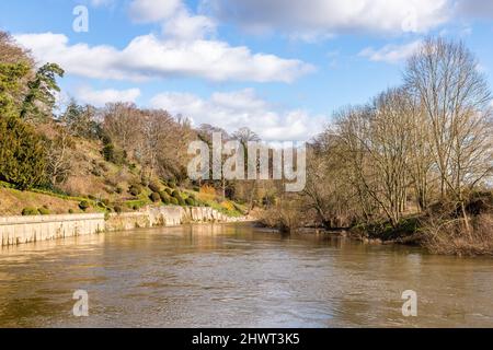 River Wye in spate at the Weir Garden Herefordshire England UK Stock Photo