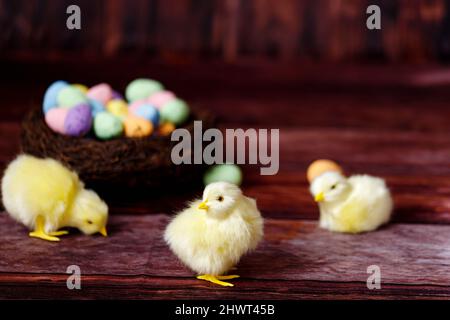 Easter background with yellow chicks and eggs. Easter holidays Stock Photo