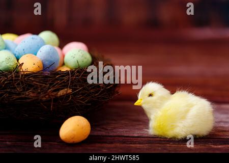 Easter background with yellow chicks and eggs. Easter holidays Stock Photo