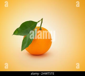 sliced navel orange on colored gradient Stock Photo