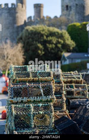 Crab and lobster pots stacked on the quayside of the fishing port Conwy North Wales UK out of focus castle in the background Stock Photo