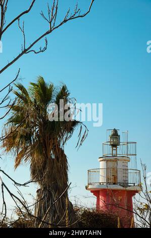 Old lighthouse of Jaffa port and palm tree. Tel Aviv, Israel. Stock Photo