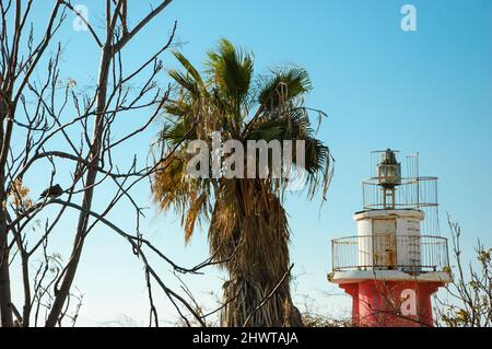 Old lighthouse of Jaffa port and palm tree. Tel Aviv, Israel. Stock Photo