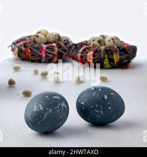 Painted chicken eggs on the background of bird nests Stock Photo