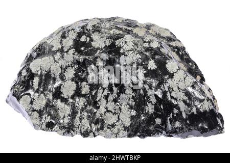 snowflake obsidian from Mexico isolated on white background Stock Photo