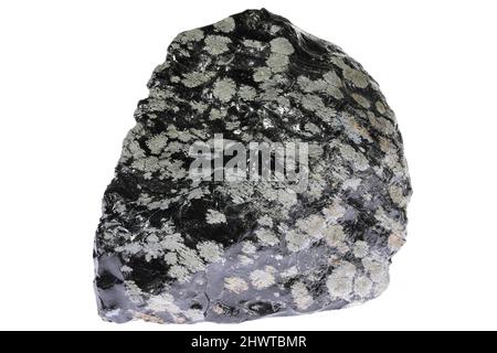 snowflake obsidian from Mexico isolated on white background Stock Photo