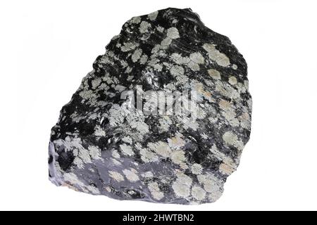 snowflake obsidian from Mexico isolated on white background Stock Photo