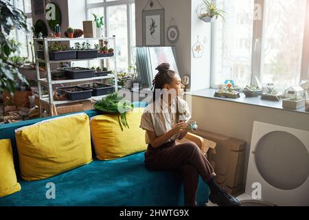 Pensive beautiful florist with cornrows looking out of the window Stock Photo