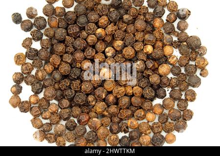 Black pepper, Pfefferstrauch, Schwarzer Pfeffer, Piper nigrum, fekete bors Stock Photo